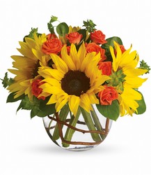 <b>Scott's Sunny Sunflowers Deluxe</b> from Scott's House of Flowers in Lawton, OK